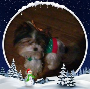 Meet your Posher, Barbara